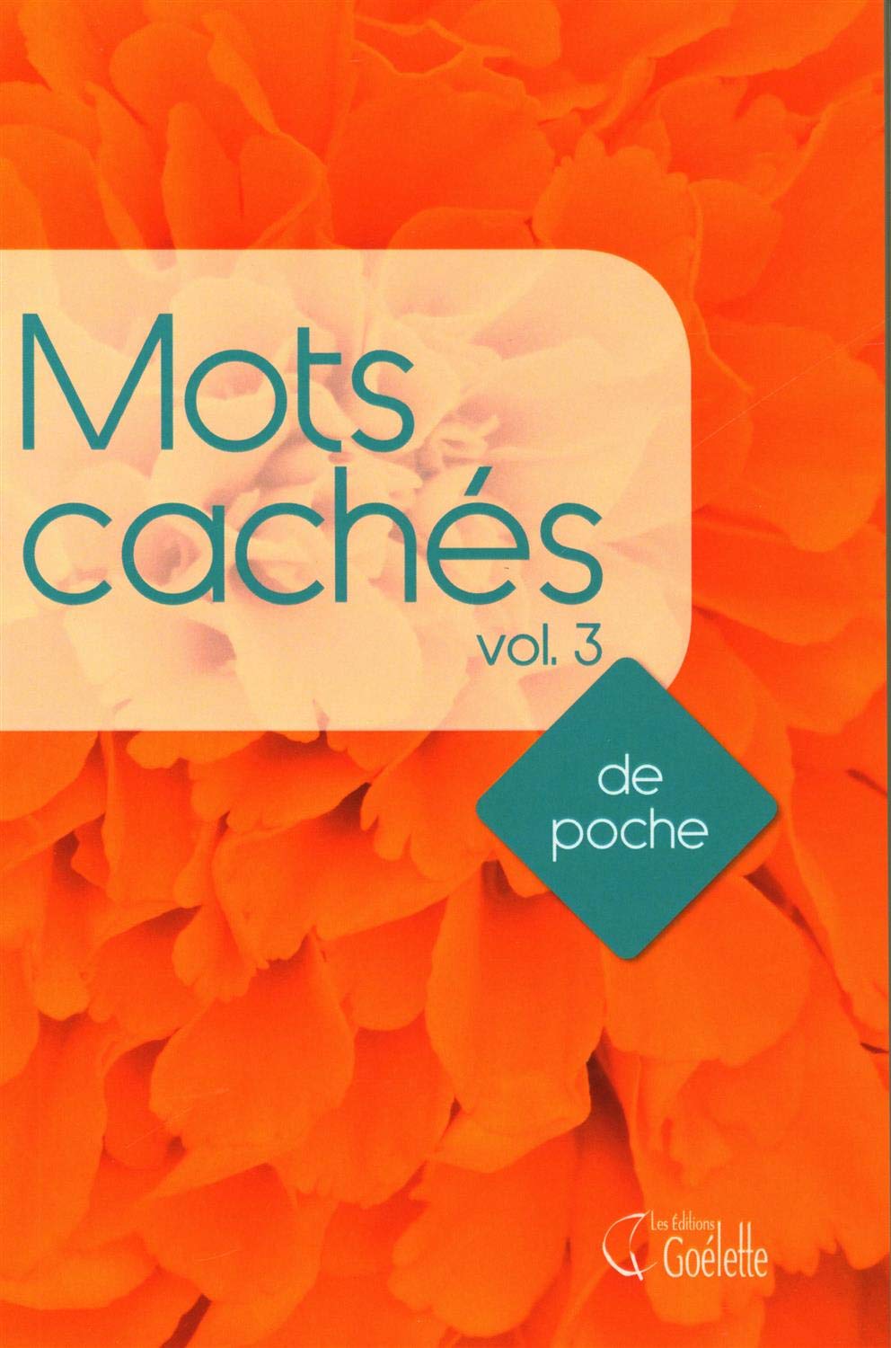 Mots cachés illustrés # 3
