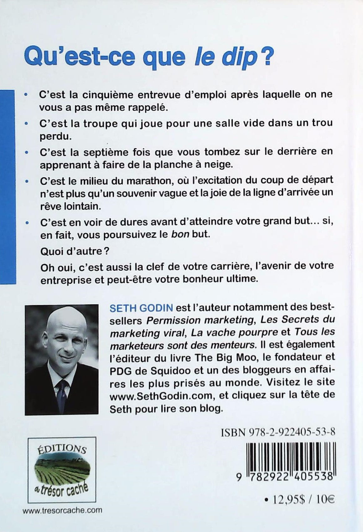 Le dip : Un petit livre qui vous enseignera quand renoncer (et quand persévérer) (Seth Godin)