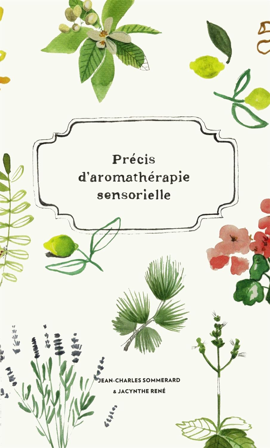 Précis d'aromathérapie sensorielle - Jean-Charles Sommerard