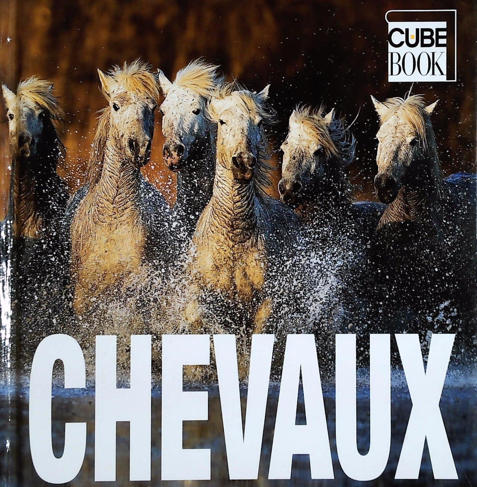 Livre ISBN CubeBook : Chevaux