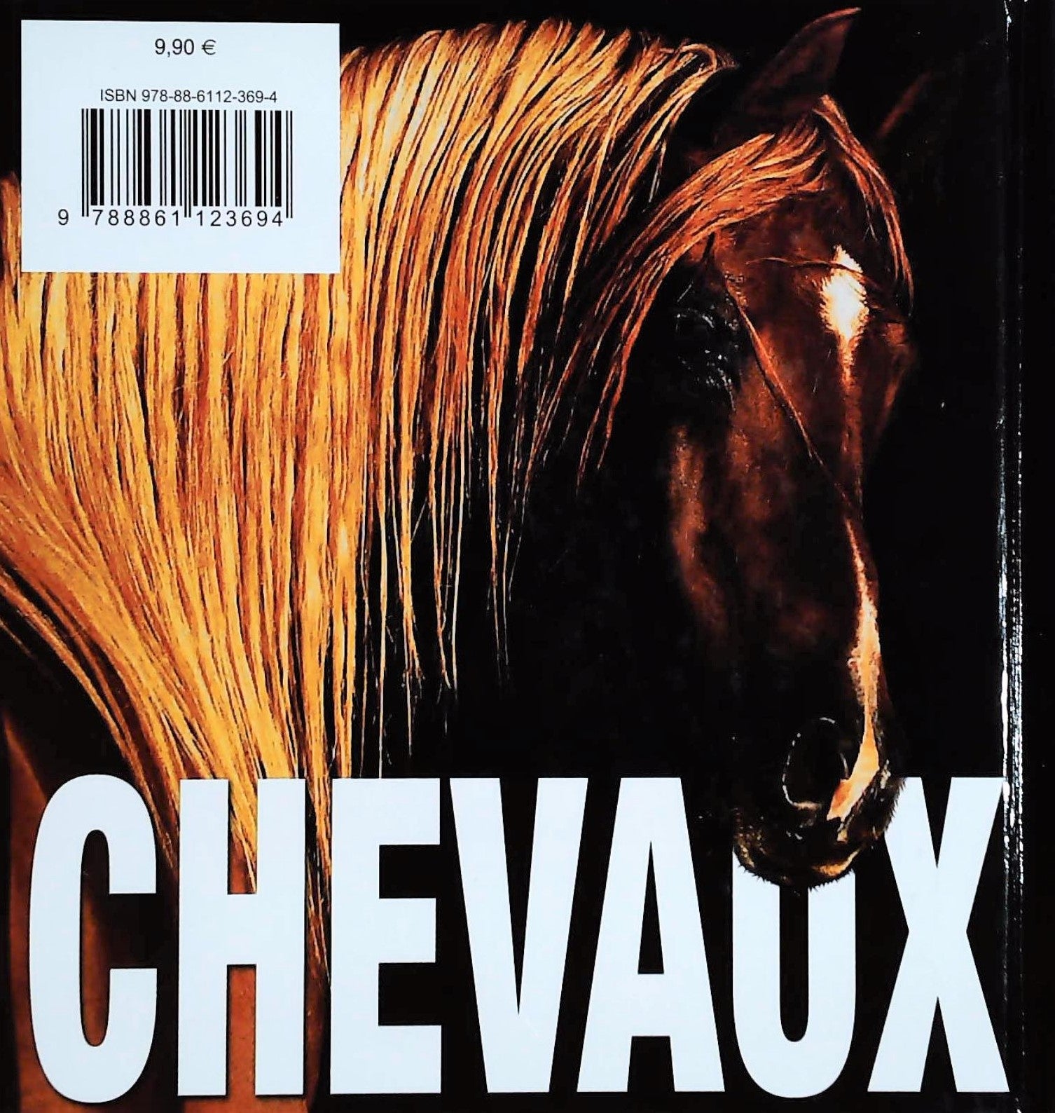 CubeBook : Chevaux