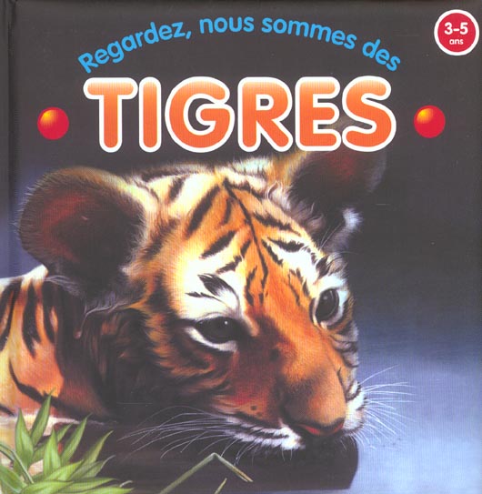 Regardez, nous sommes des tigres - Molly Grooms