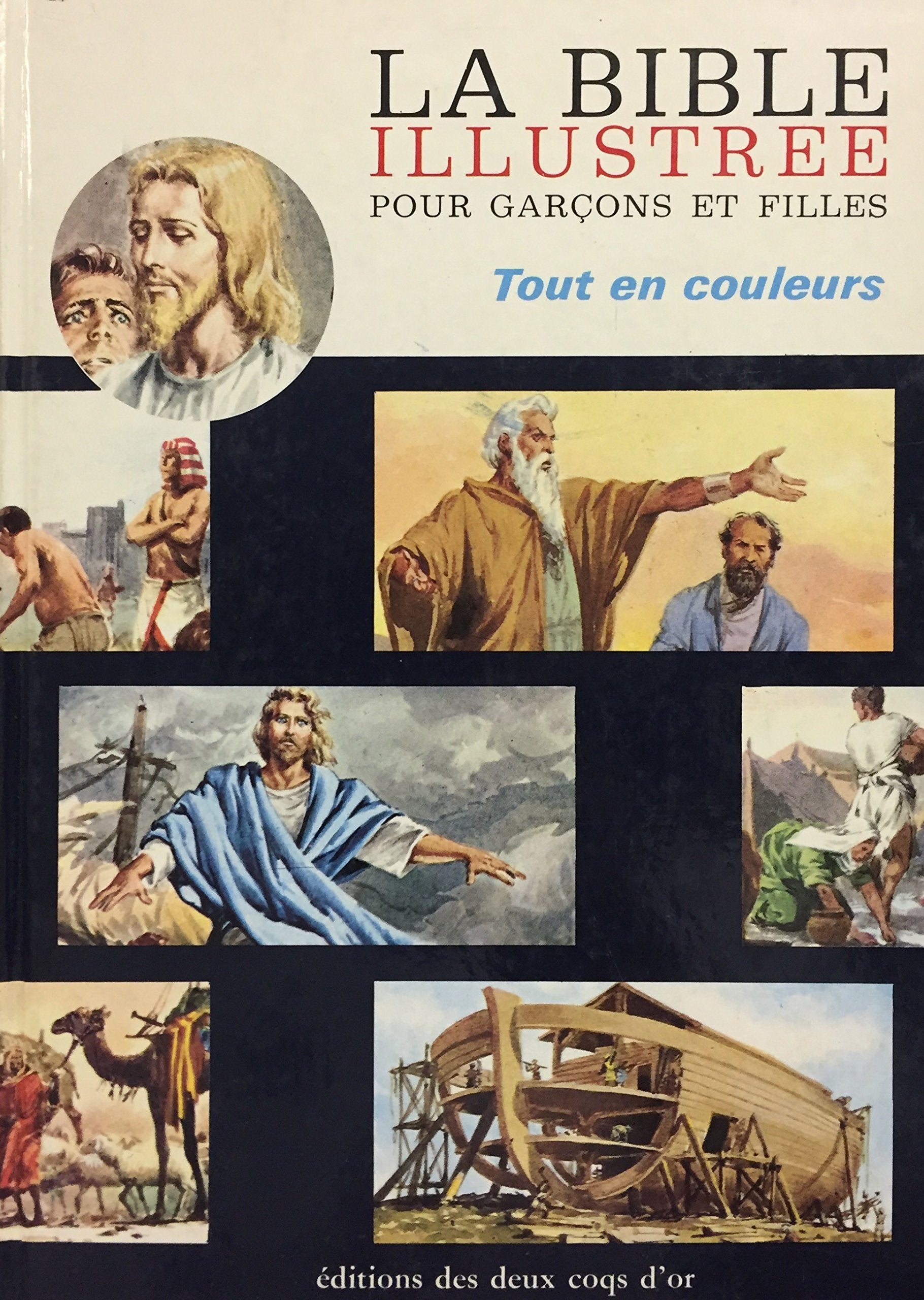 Livre ISBN La Bible illustrée pour garçons et filles : tout en couleur