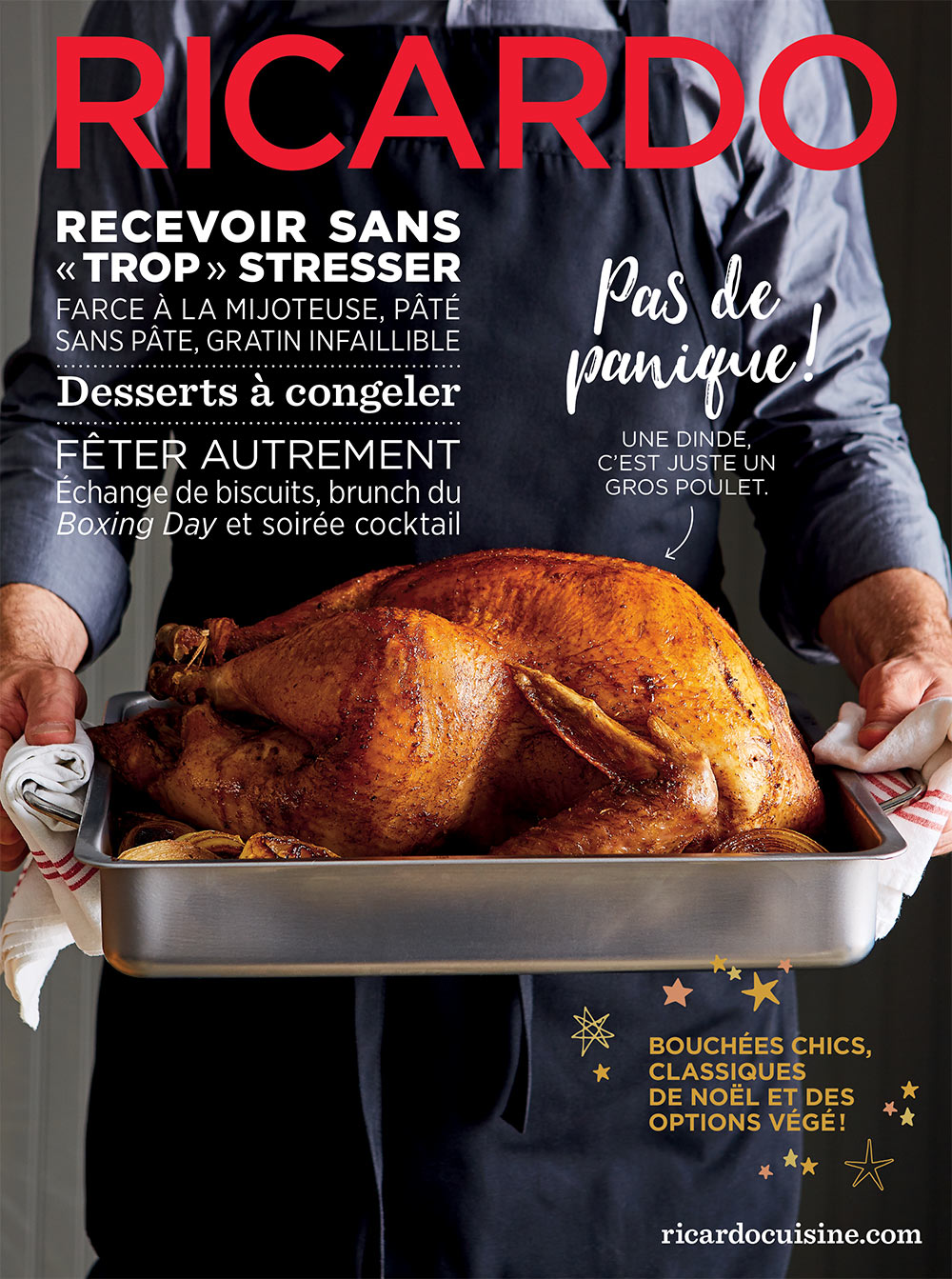 Magazine Ricardo : Volume 15 - Numéro 1 (Ricardo Larrivée)