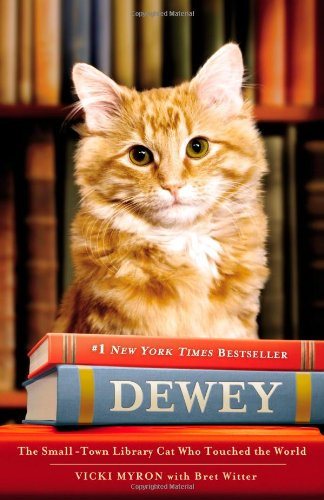 Livre Dewey - Vicki Myron (Livre d'occasion) - ISBN 0316068705