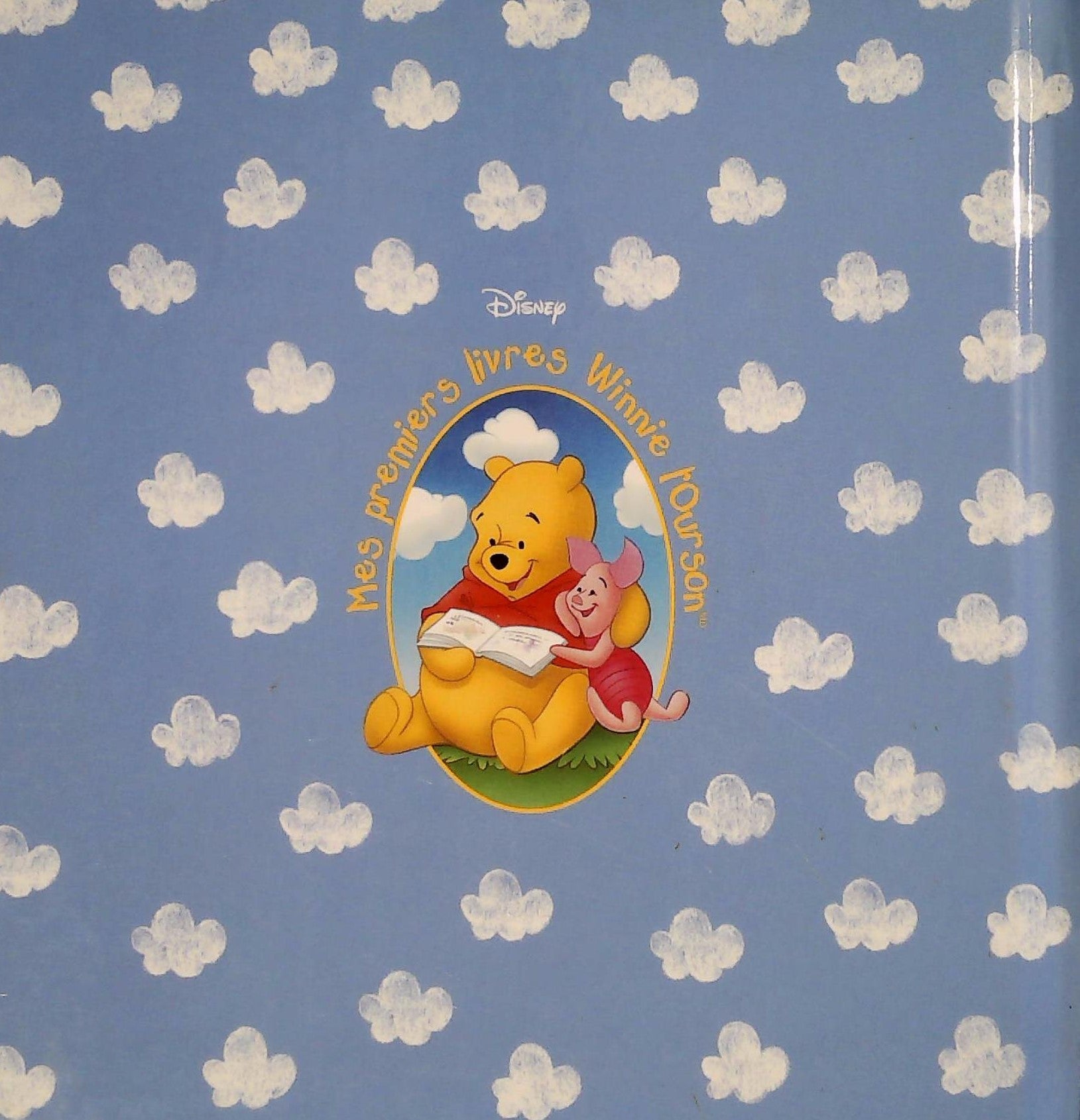 Livre Mes premiers livres Winnie l'Ourson : Le meilleur endroit de Winnie (Disney) (Livre...