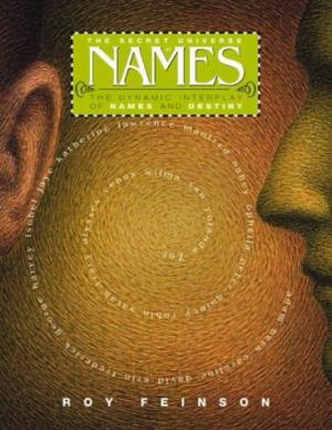 Livre The Secret Universe of Names: The Dynamic Interplay of Names and Destiny - Roy Feinson (Liv...
