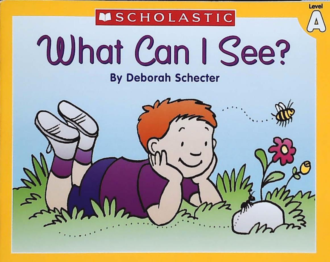Livre What Can I See - Deborah Schecter (Livre d'occasion) - ISBN 0439586542