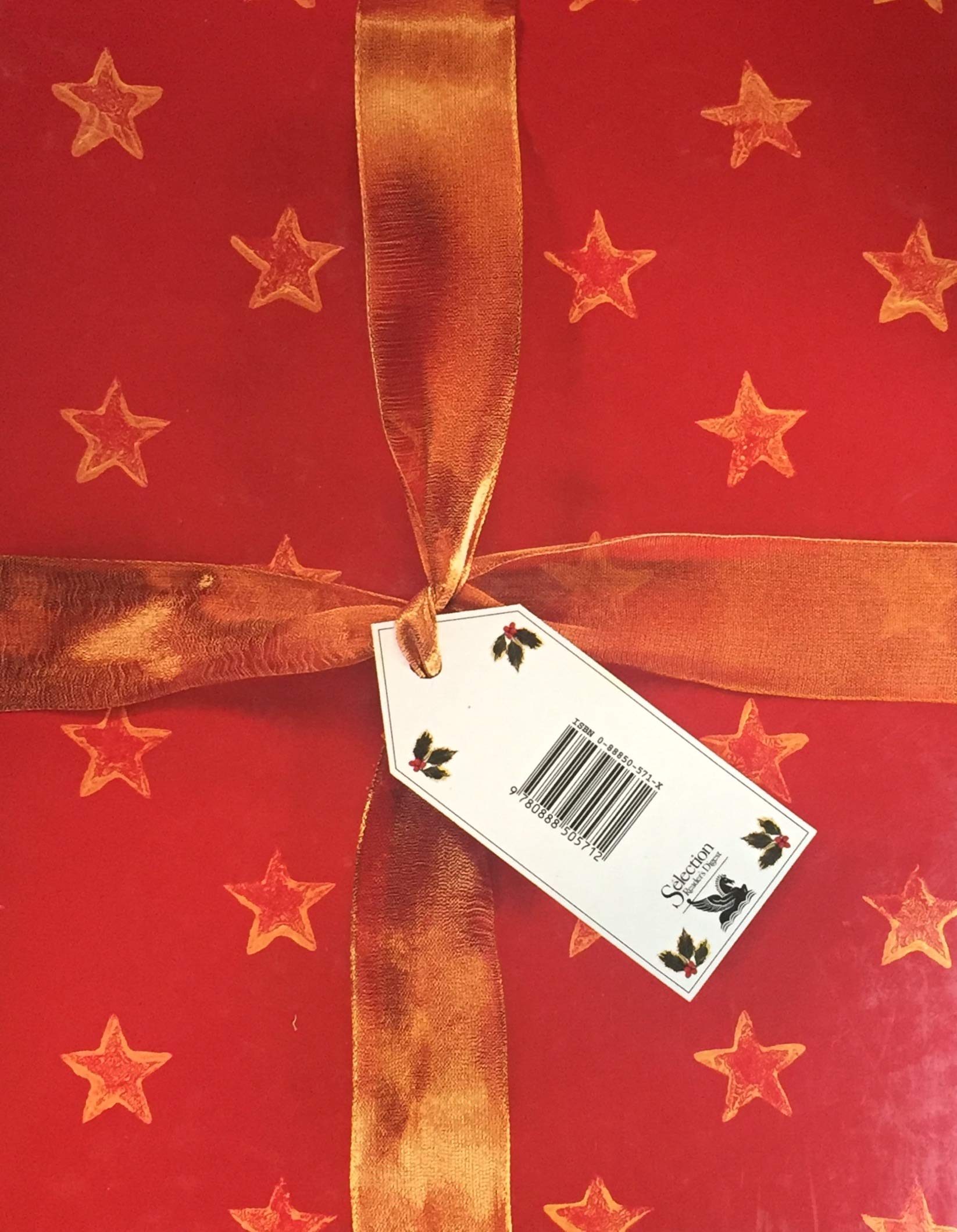 Livre Noël en fête - Janice Newdick (Livre neuf) - ISBN 088850571X