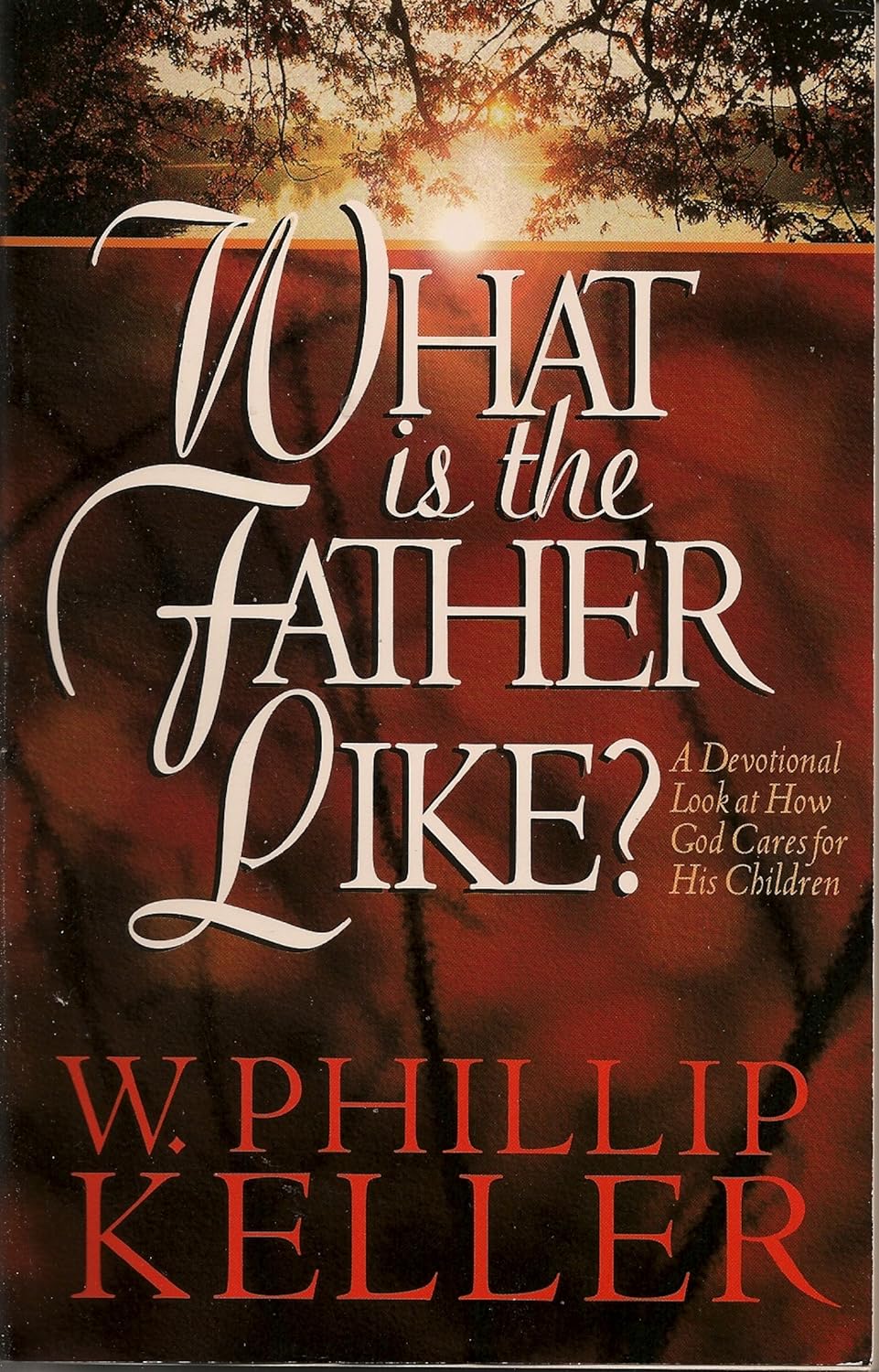 Livre What Is the Father Like? - W. Phillip Keller (Livre d'occasion) - ISBN 0913367168