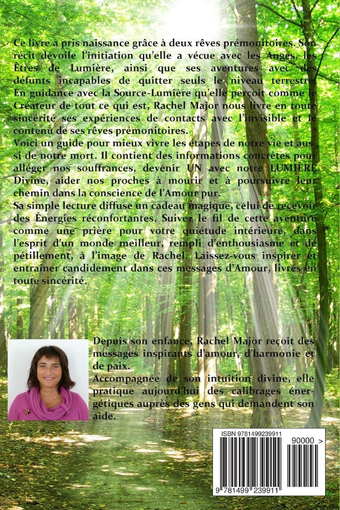 Livre Il brille dans la Lumière: Journal d'une médiatrice des plans invisibles (Rachel Major)...