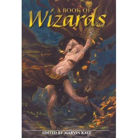 Livre A Book of Wizards - Markin Kaye (Livre d'occasion) - ISBN 1582882924