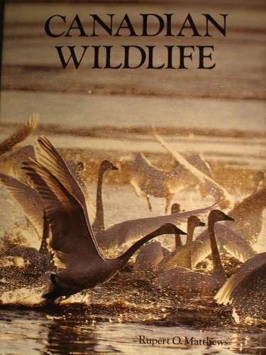 Livre Canadian Wildlife - Rupert O.Matthews (Livre d'occasion) - ISBN 1856130983