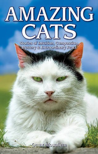 Livre Amazing Cats: Stories of Intuition, Compassion, Mystery & Extraordinary Feats - Omar Mouall...