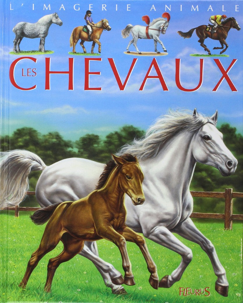 Livre Les chevaux - Émilie Beaumont (Livre d'occasion) - ISBN 2215069171
