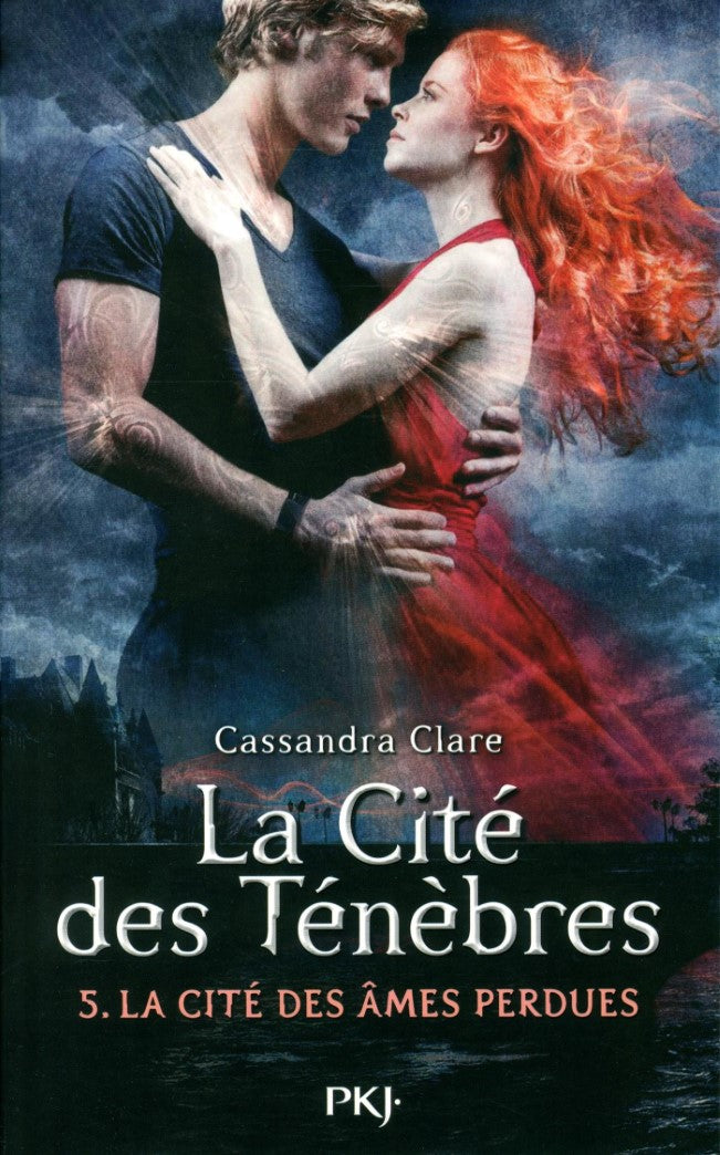 Livre La cité des âmes perdues - Cassandra Clare (Livre d'occasion) - ISBN 2266253042