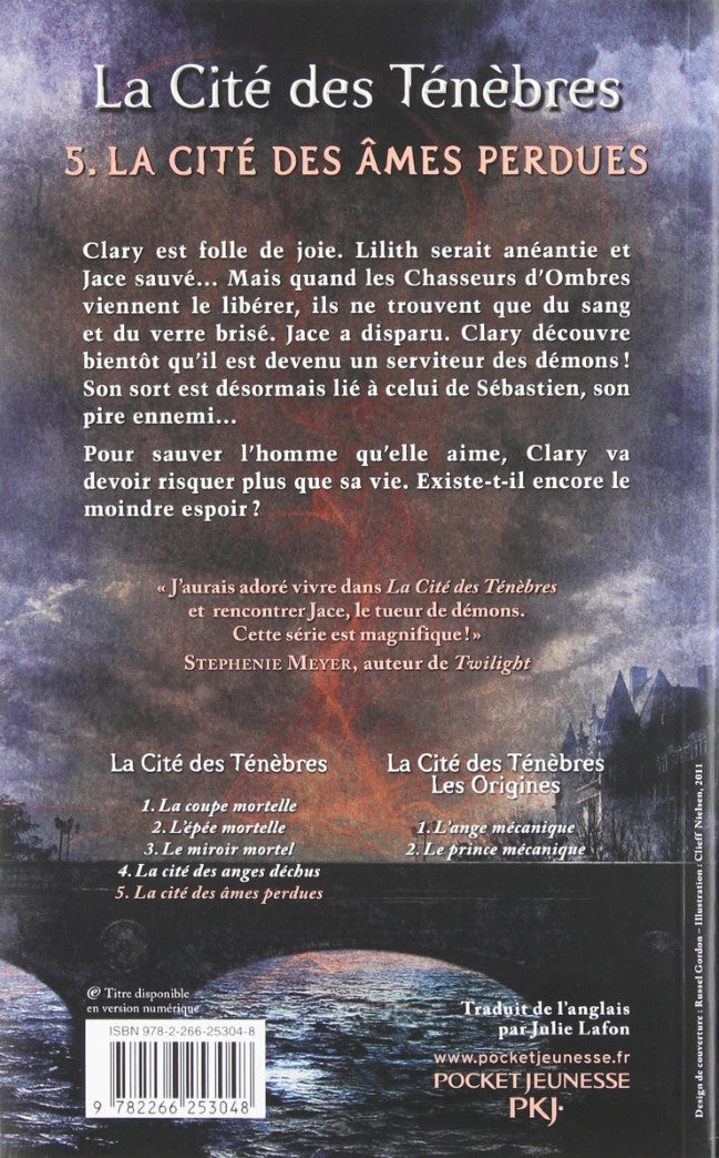 Livre La cité des âmes perdues - Cassandra Clare (Livre d'occasion) - ISBN 2266253042
