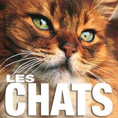 Livre Les chats - Collectif (Livre d'occasion) - ISBN 2700012135