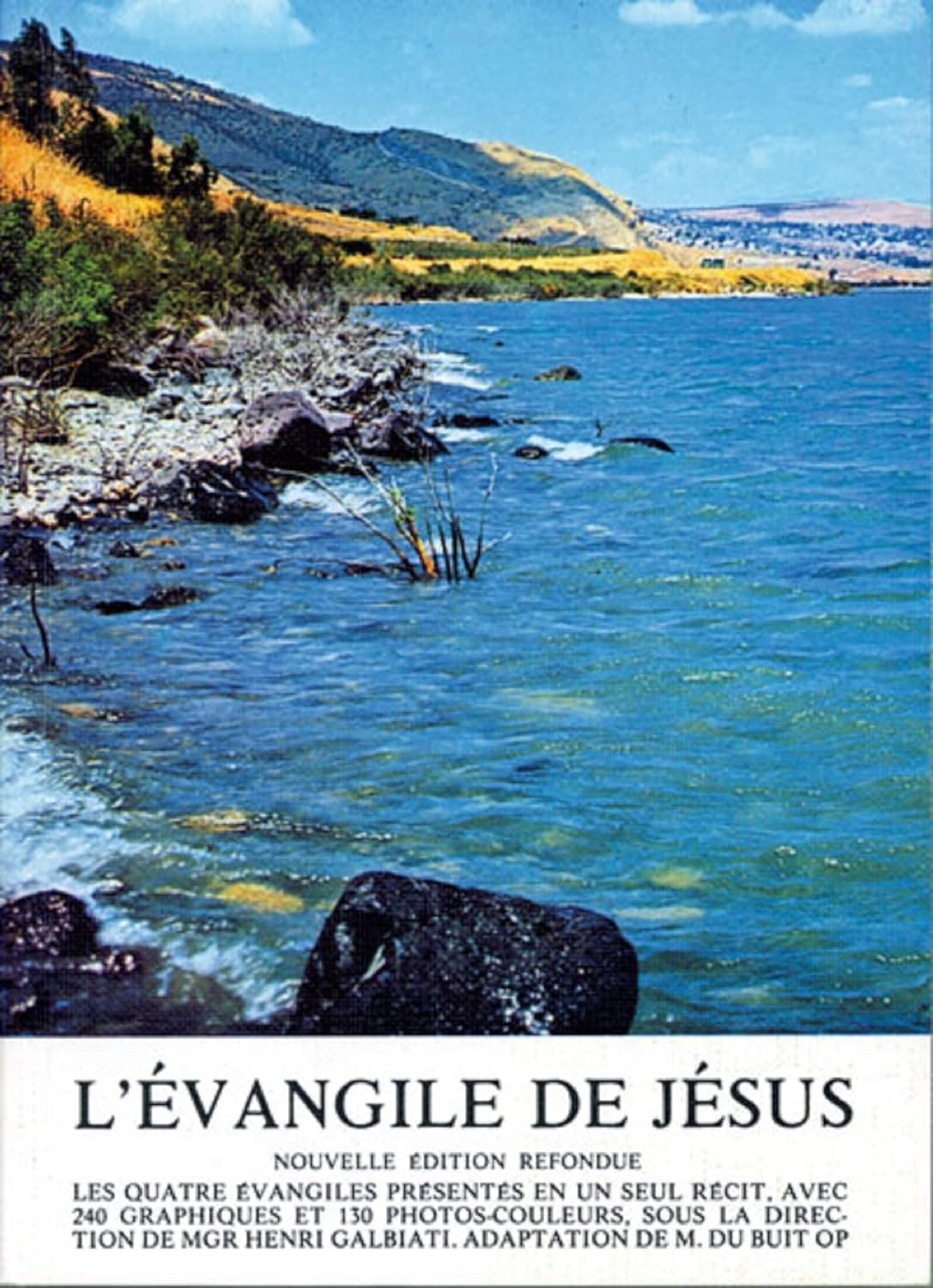 Livre L'Évangile de Jésus (The Gospel Of Jesus) - Collectif (Livre d'occasion) - ISBN 2712201094