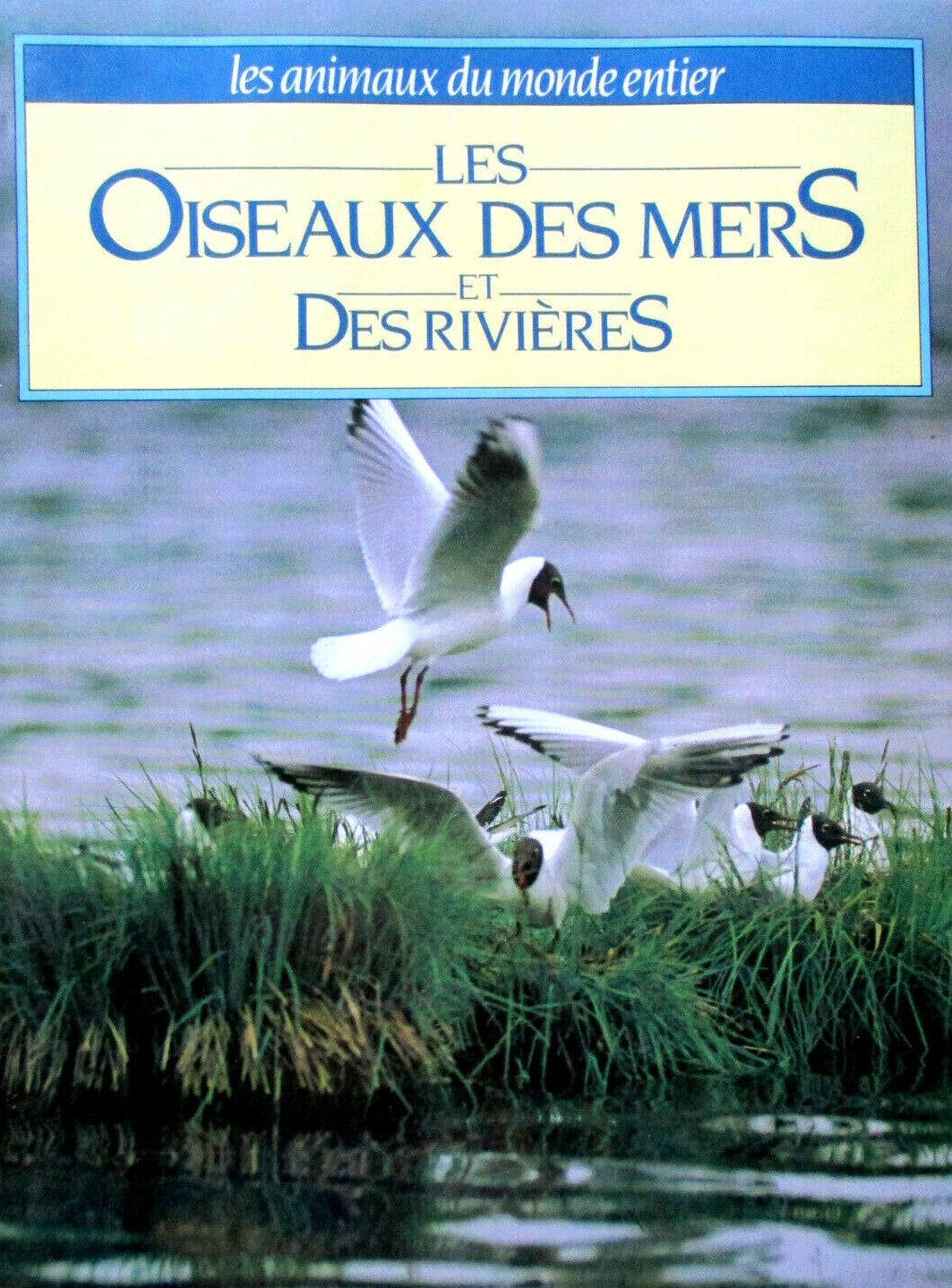 Livre Les oiseaux des mers et des rivières - Collectif (Livre d'occasion) - ISBN 2724231953