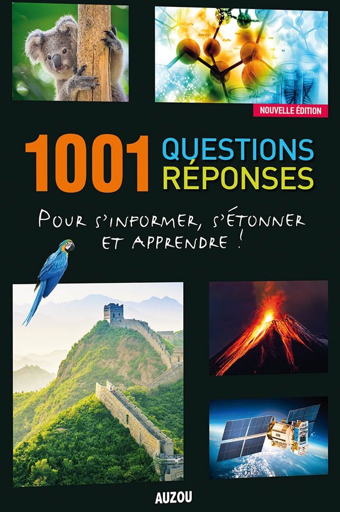 1001 Questions Réponses