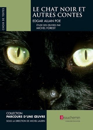 Livre Le chat noir et autres contes - Edgar Allan Poe (Livre d'occasion) - ISBN 2761651162