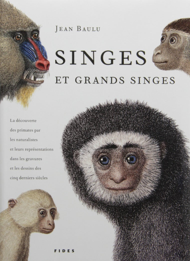 Livre Singes et grands singes - Jean Baulu (Livre neuf) - ISBN 276212607X