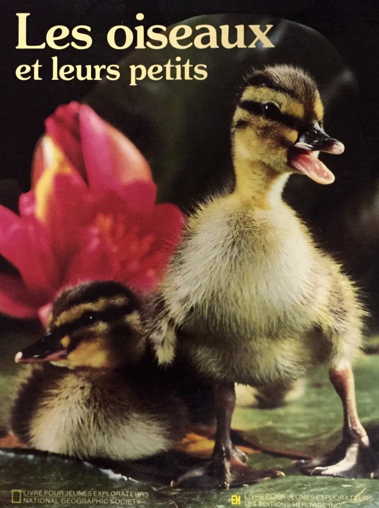 Livre Les oiseaux et leurs petits (Livre d'occasion) - ISBN 2762548128