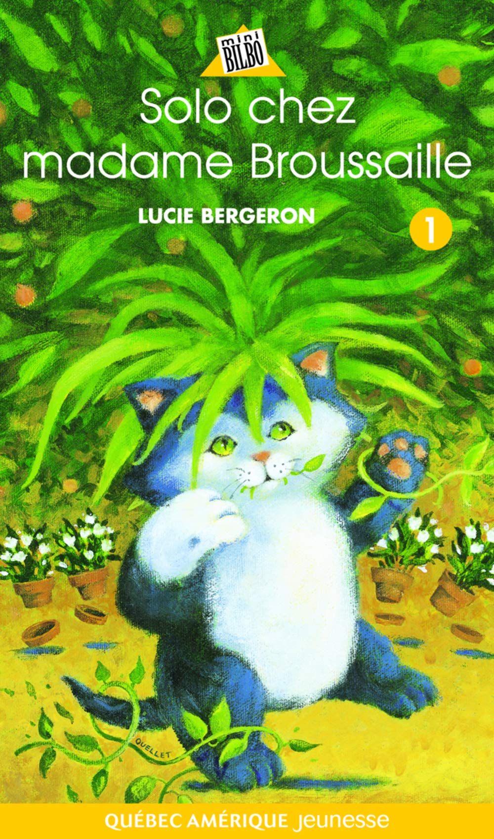 Mini Bilbo : Solo # 1 : Solo chez madame Brousaille - Lucie Bergeron