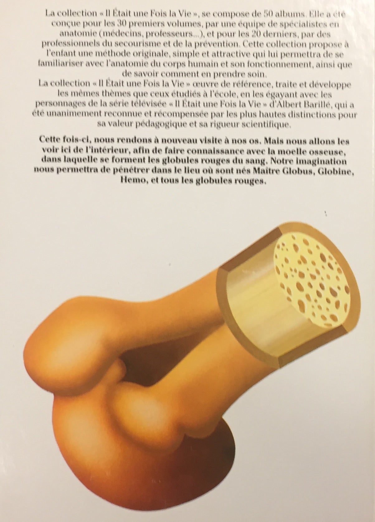 Livre La moelle osseuse - Collectif (Livre d'occasion) - ISBN 2877870286