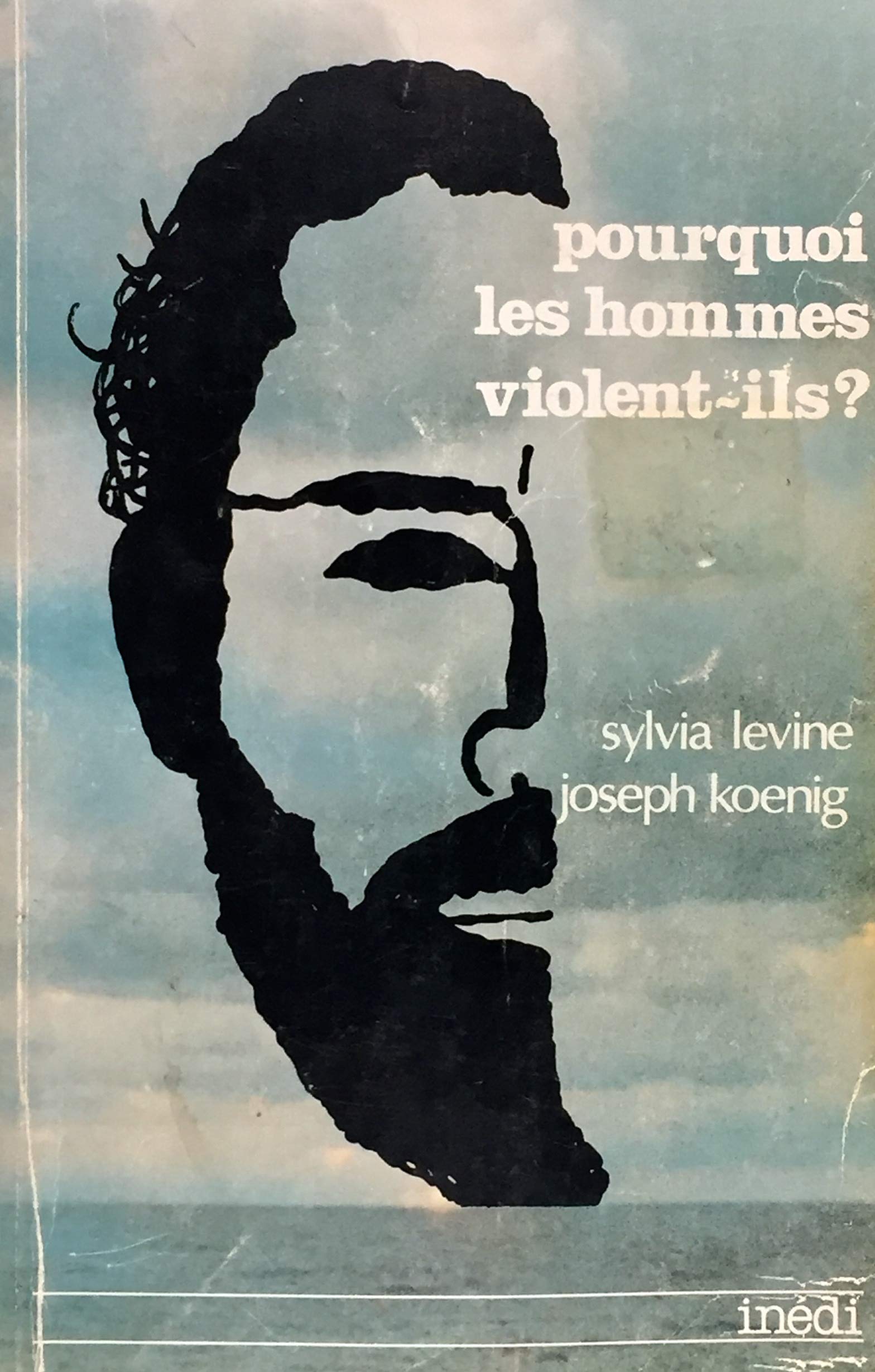 Livre Pourquoi les hommes violent-ils? - Sylvia Levine (Livre d'occasion) - ISBN 2890660354
