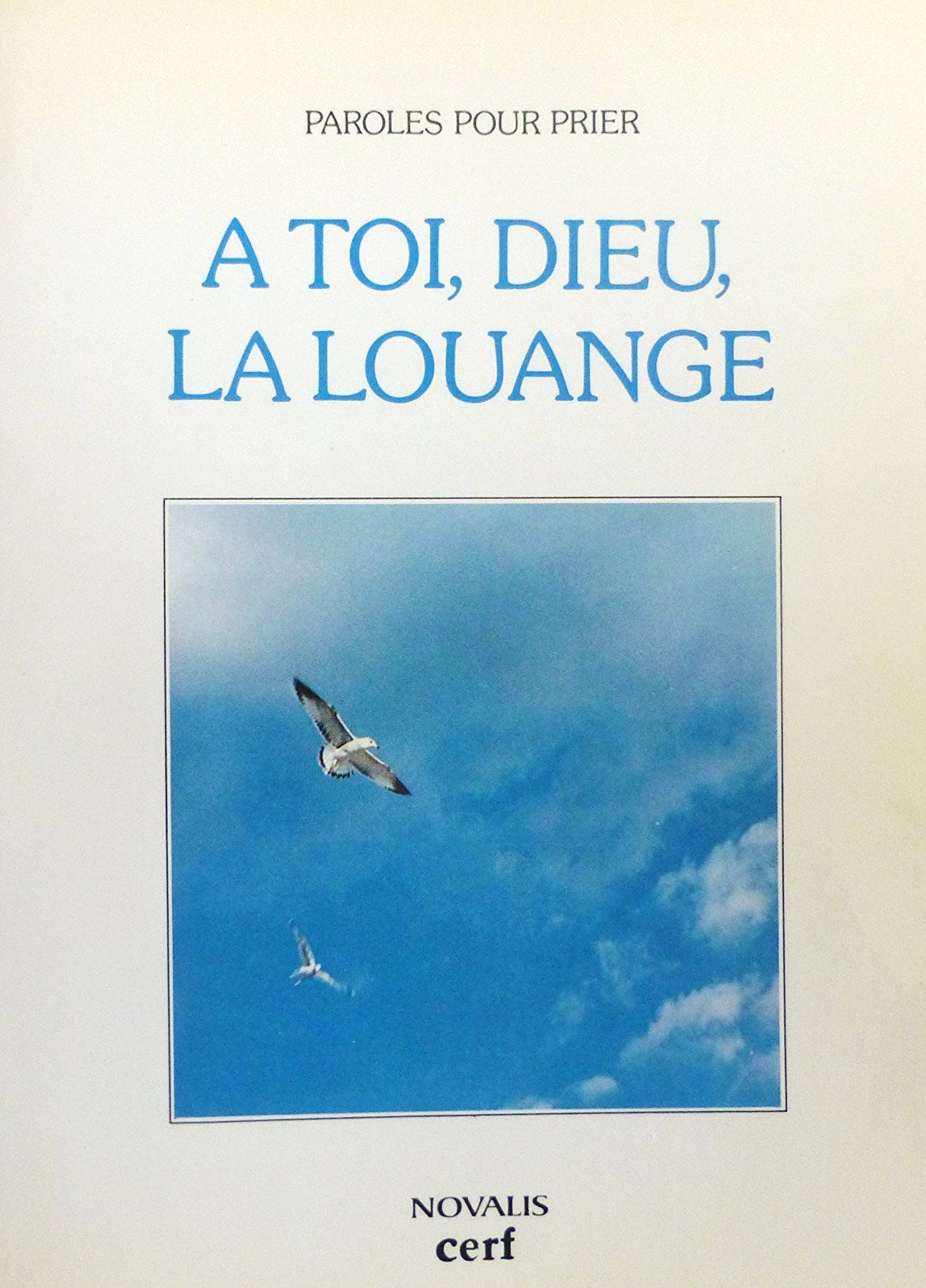 Livre À Toi, Dieu, la louange (Paroles pour prier) - Pierre Dufresne (Livre d'occasion) - ISBN 28...