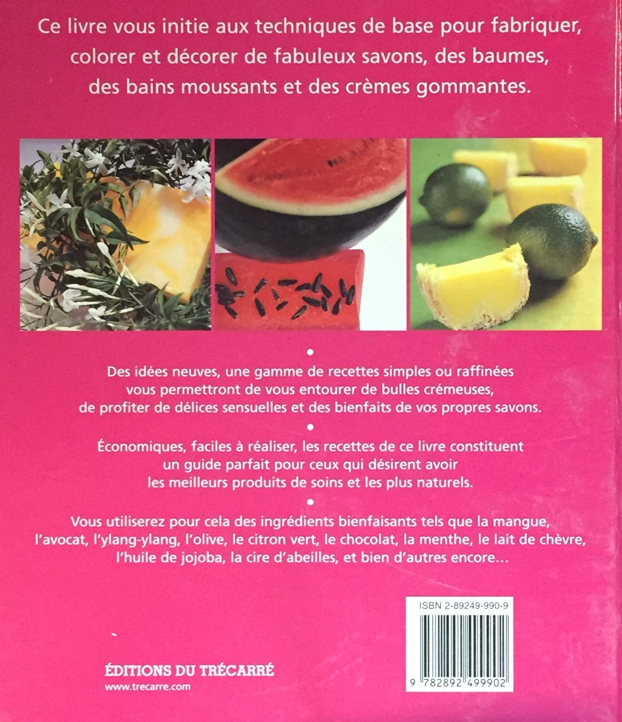 Livre Délicieux savons (Livre d'occasion) - ISBN 2892499909
