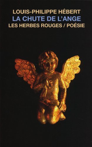 Livre La chute de l'ange : poésie - Louis-Philippe Hébert (Livre d'occasion) - ISBN 2894192908