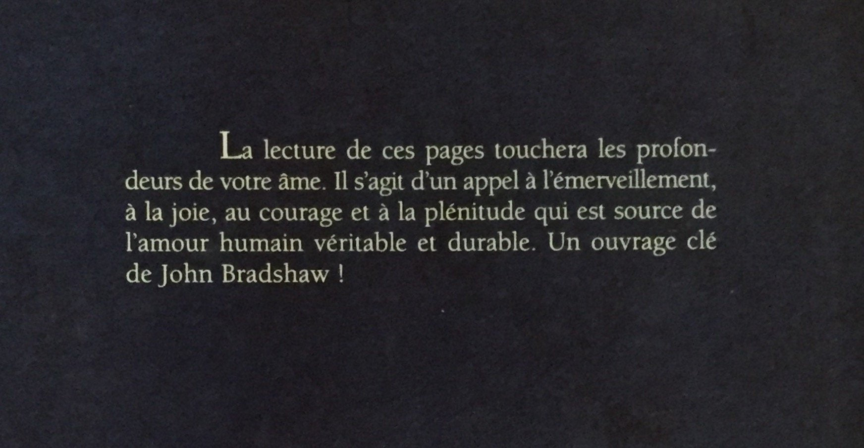 Livre Le défi de l'amour : aimer de toute son âme - John Bradshaw (Livre d'occasion) - ISBN 28943...