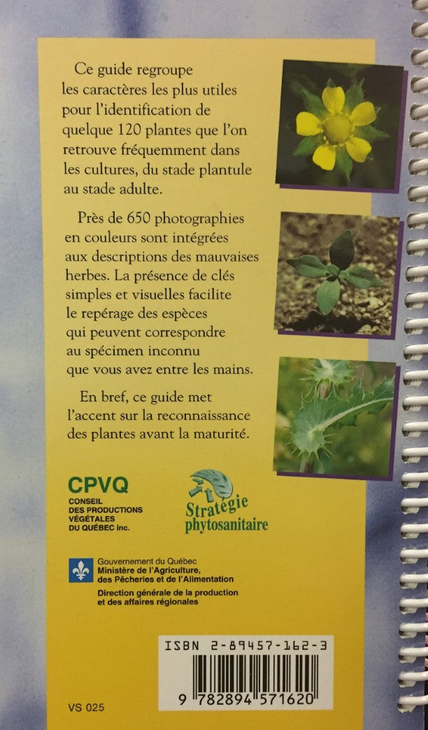 Livre Guide d'identification des mauvaises herbes du Québec - Claude J. Bouchard (Livre d'occasio...
