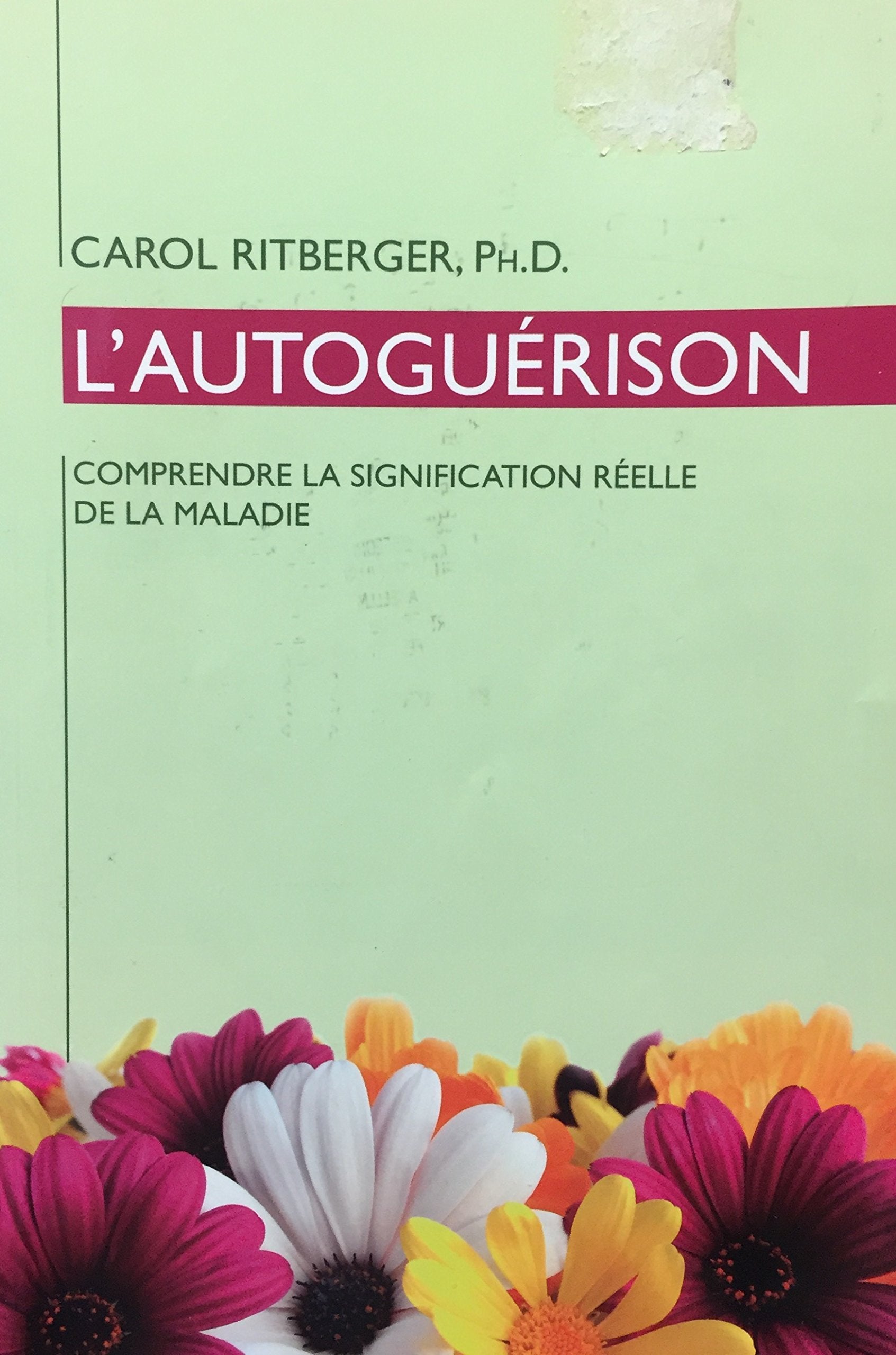 Livre L'autoguérison : Comprendre la signification de la maladie - Carol Ritberger (Livre d'occas...
