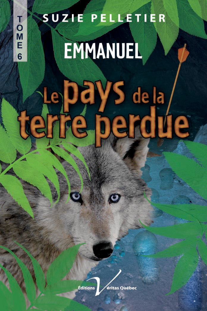 Livre ISBN 289571178X Le pays de la terre perdue # 6 : Emmanuel (Suzie Pelletier)