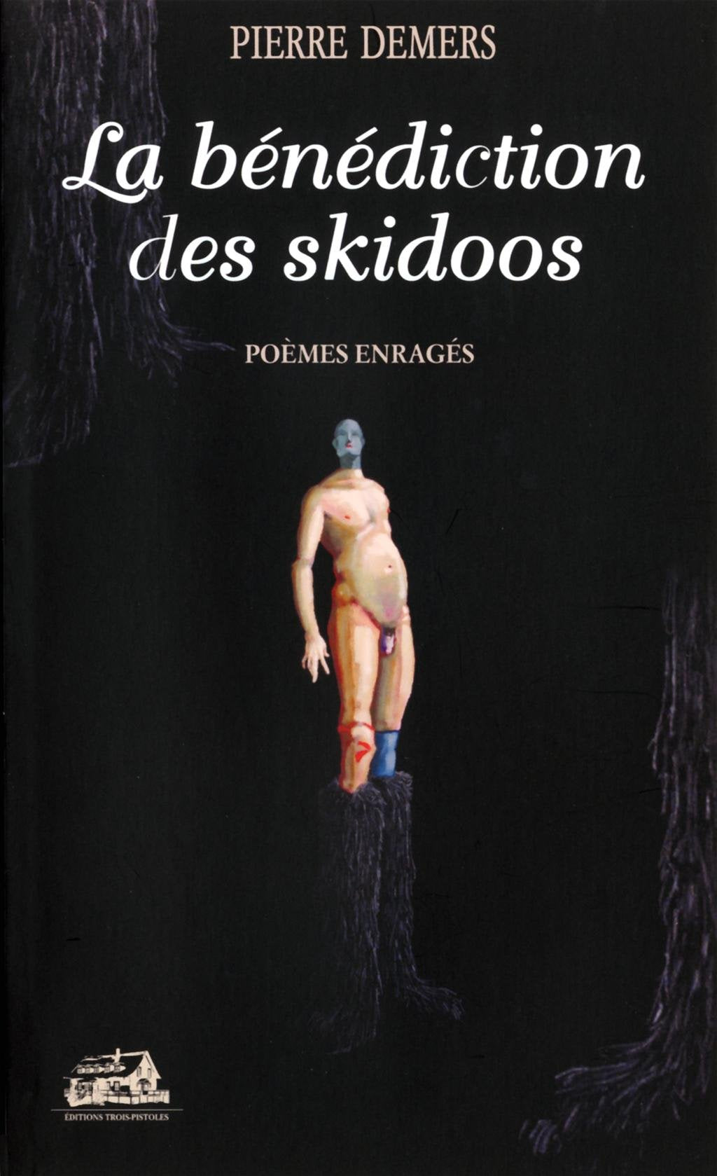 Livre La bénédiction des skidoos : poèmes enragés - Pierre Demers (Livre d'occasion) - ISBN 28958...