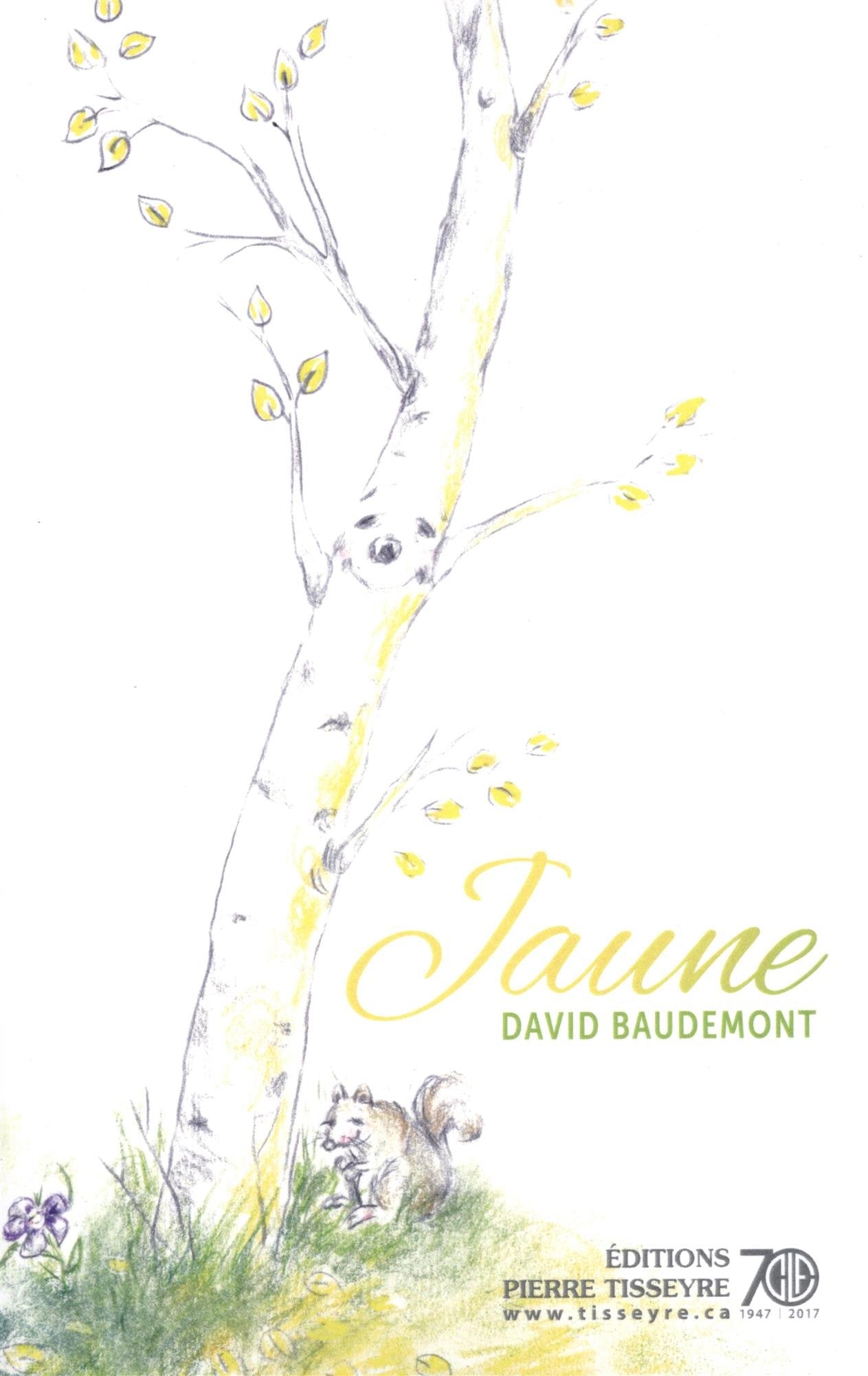 Livre Jaune - David Baudemont (Livre neuf) - ISBN 289633372X