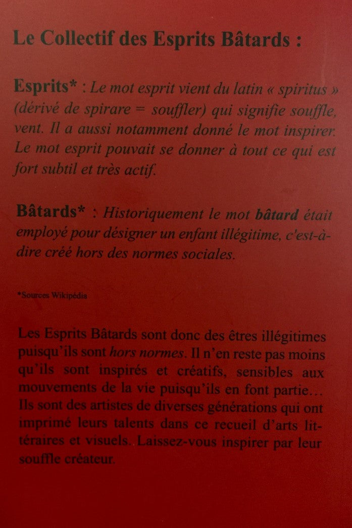 Livre Les esprits bâtards - Collectif (Livre d'occasion) - ISBN 2980888850