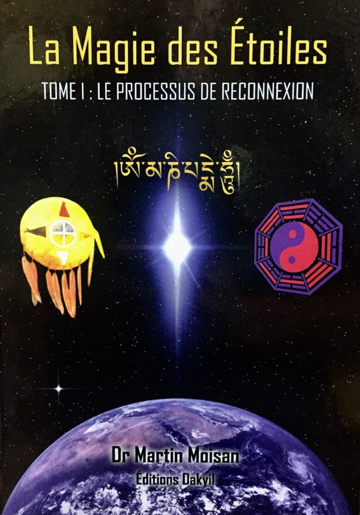 Livre Le processus de reconnexion - Martin Moison (Livre neuf) - ISBN 2981301217