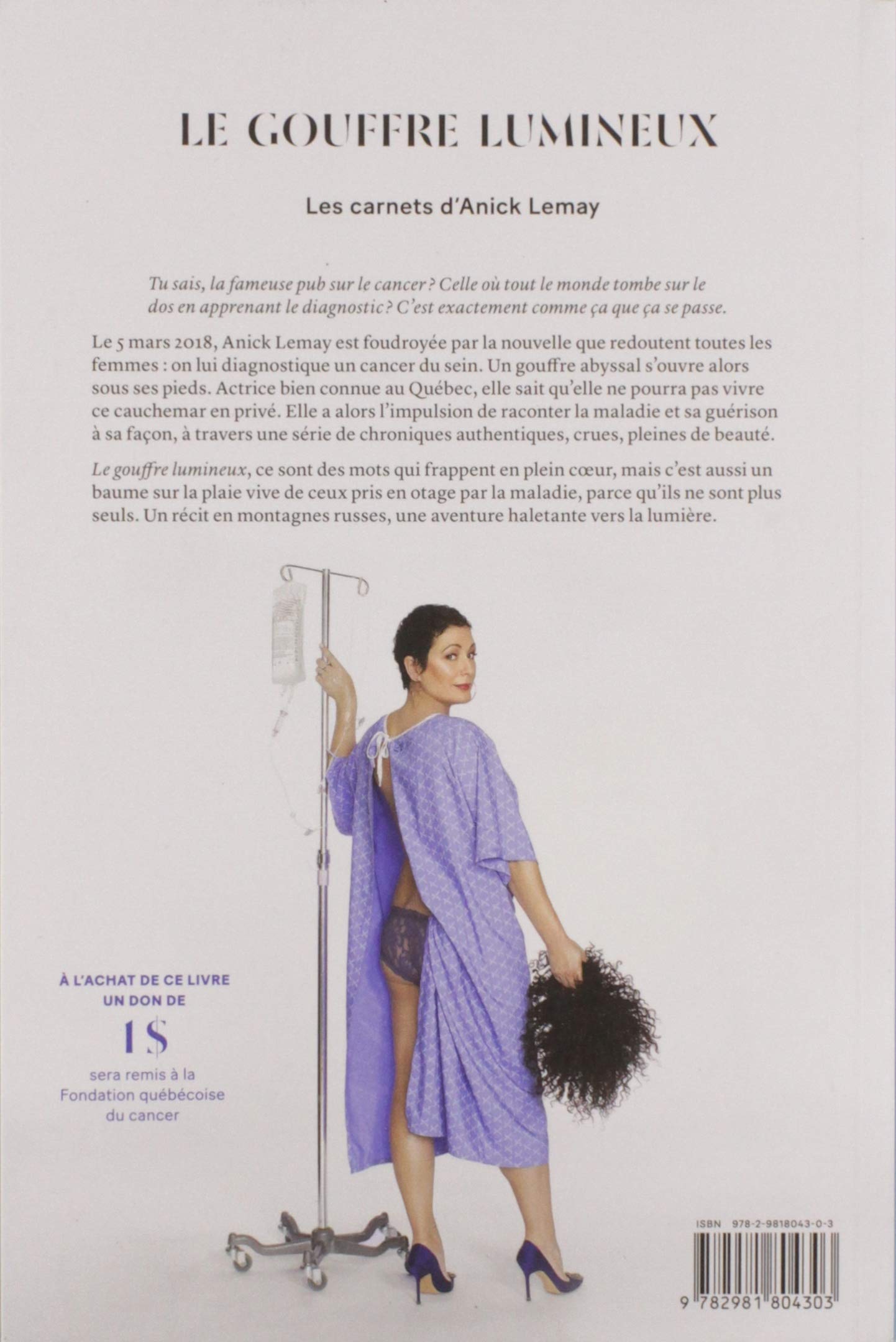 Livre Le gouffre lumineux : Les carnets d'Anick Lemay - Anick Lemay (Livre d'occasion) - ISBN 298...