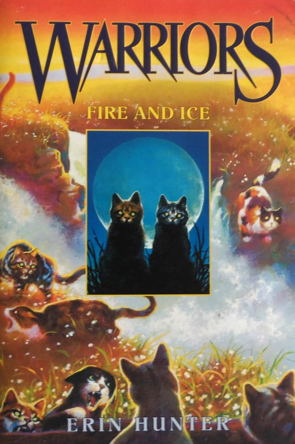 Livre Fire And Ice - Erin Hunter (Livre d'occasion) - ISBN 0060525592