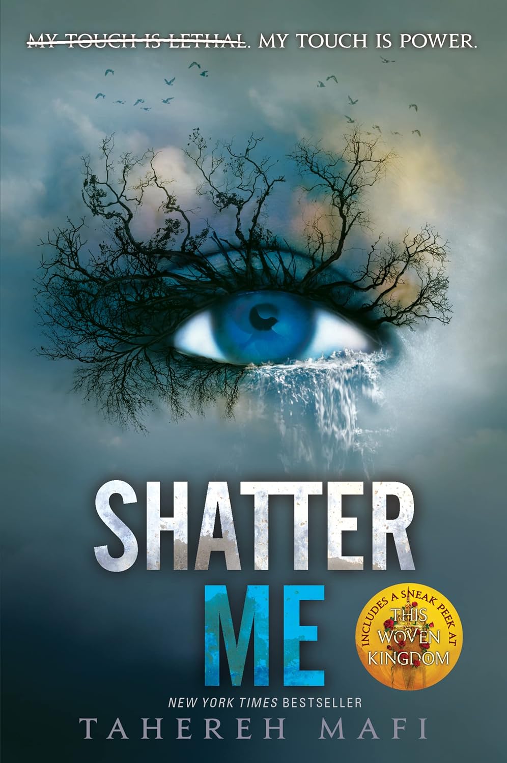 Livre Shatter Me - Tahereh Mafi (Livre d'occasion)