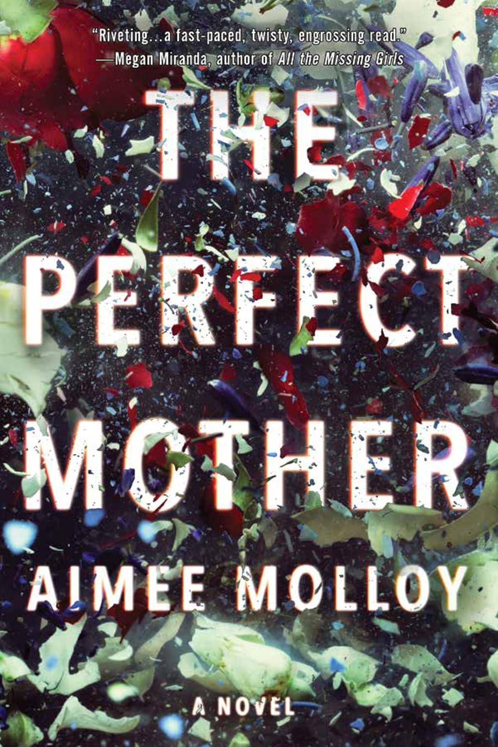 Livre The Perfect Mother - Aimee Molloy (Livre d'occasion) - ISBN 0062845039
