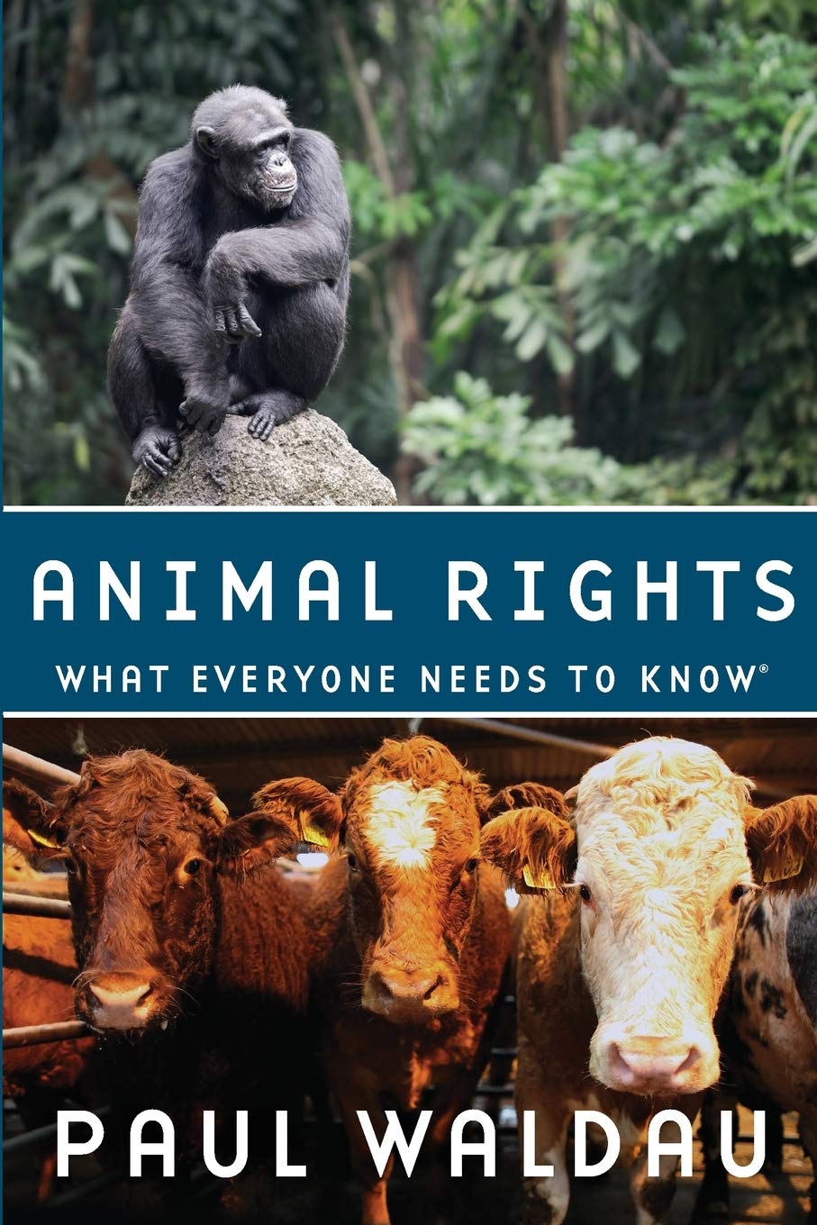 Livre Animal Rights: What Everyone Needs to Know - Paul Waldau (Livre neuf) - ISBN 019973996X