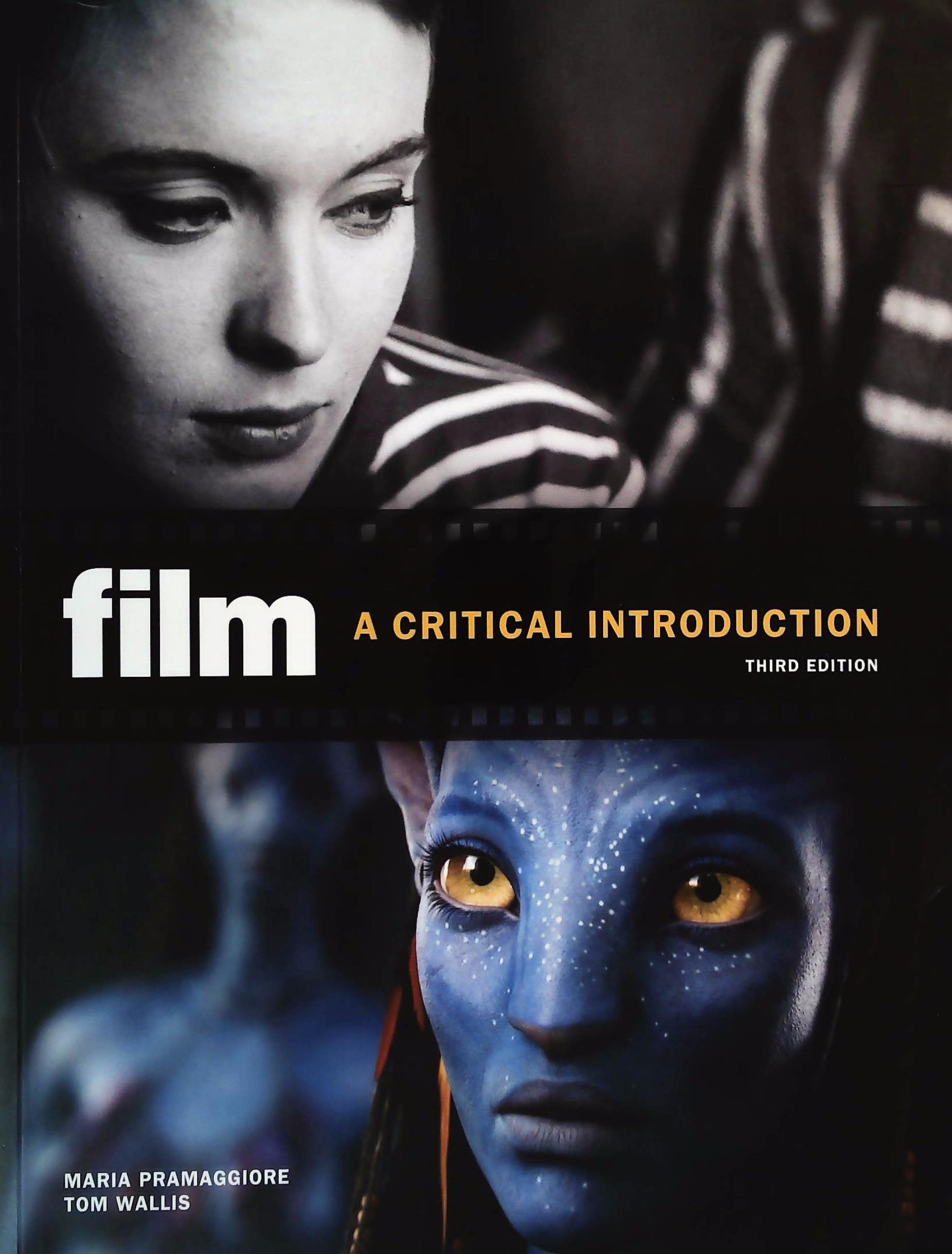 Livre Film a critical introduction - Maria Pramaggiore (Livre d'occasion) - ISBN 0205770770
