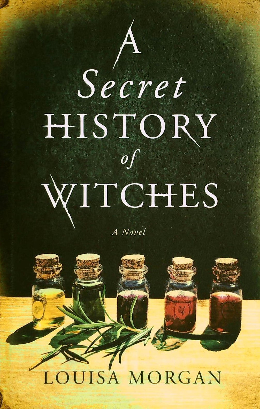Livre A Secret History of Witches - Louisa Morgan (Livre d'occasion) - ISBN 0316508551