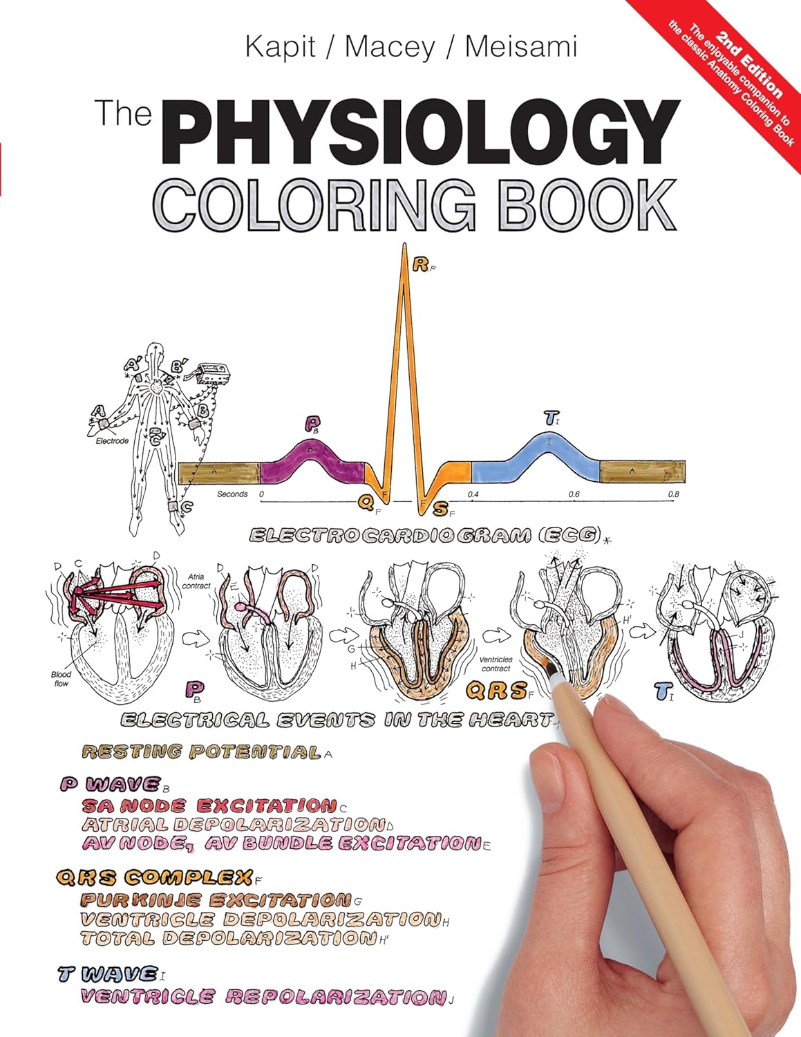 Livre The Physiology Coloring Book - Wynn Kapit (Livre d'occasion) - ISBN 0321036638